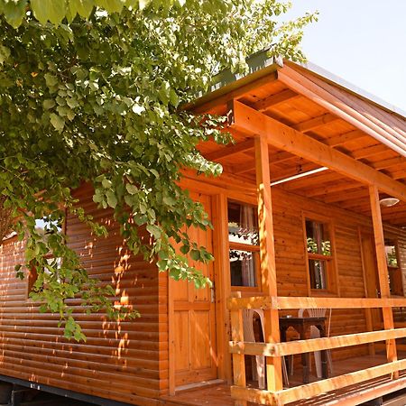 Tolay Hotel Ölüdeniz Exterior foto